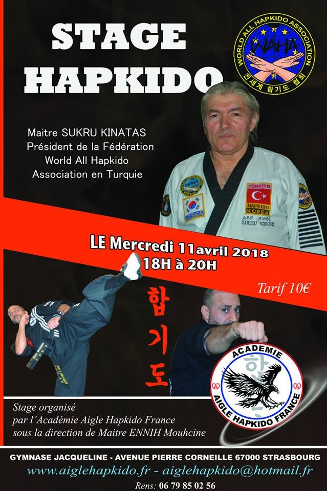 EAGLE HAPKİDO ACADEMİA